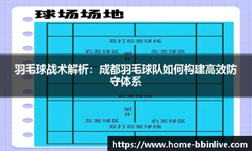 羽毛球战术解析：成都羽毛球队如何构建高效防守体系